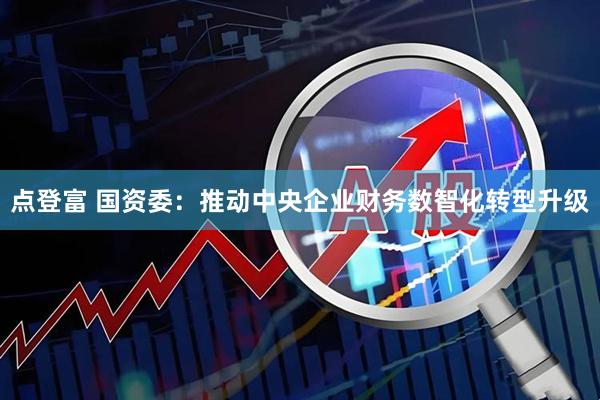 点登富 国资委：推动中央企业财务数智化转型升级