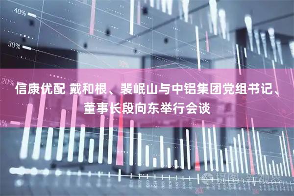 信康优配 戴和根、裴岷山与中铝集团党组书记、董事长段向东举行会谈